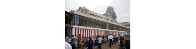 நங்கநல்லூர் (சென்னை)